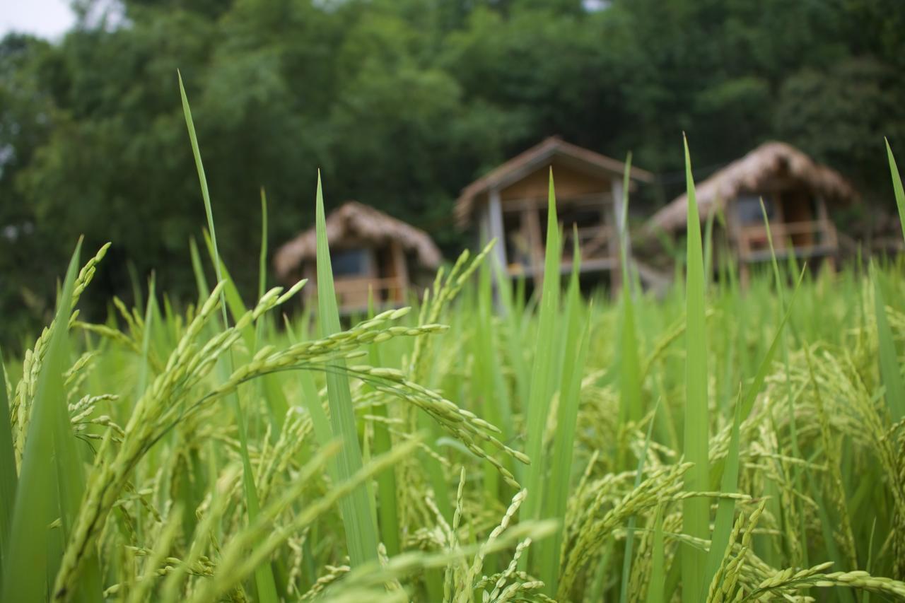Little Mai Chau Home Stay Bagian luar foto